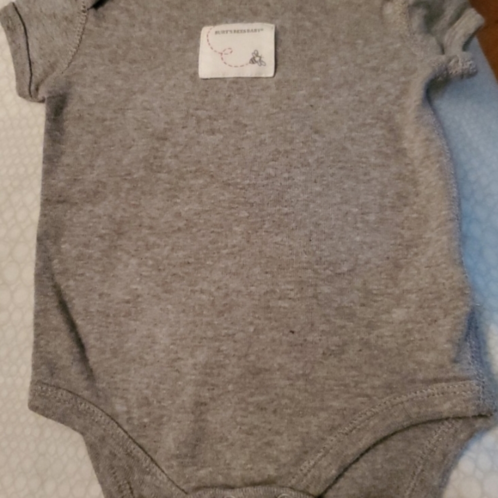 Burt's Bees Baby Gray Bodysuit Unisex